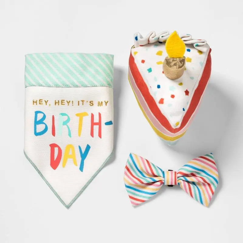 Birthday Cake Plush, Squeaky Crinkle Dog Toy
