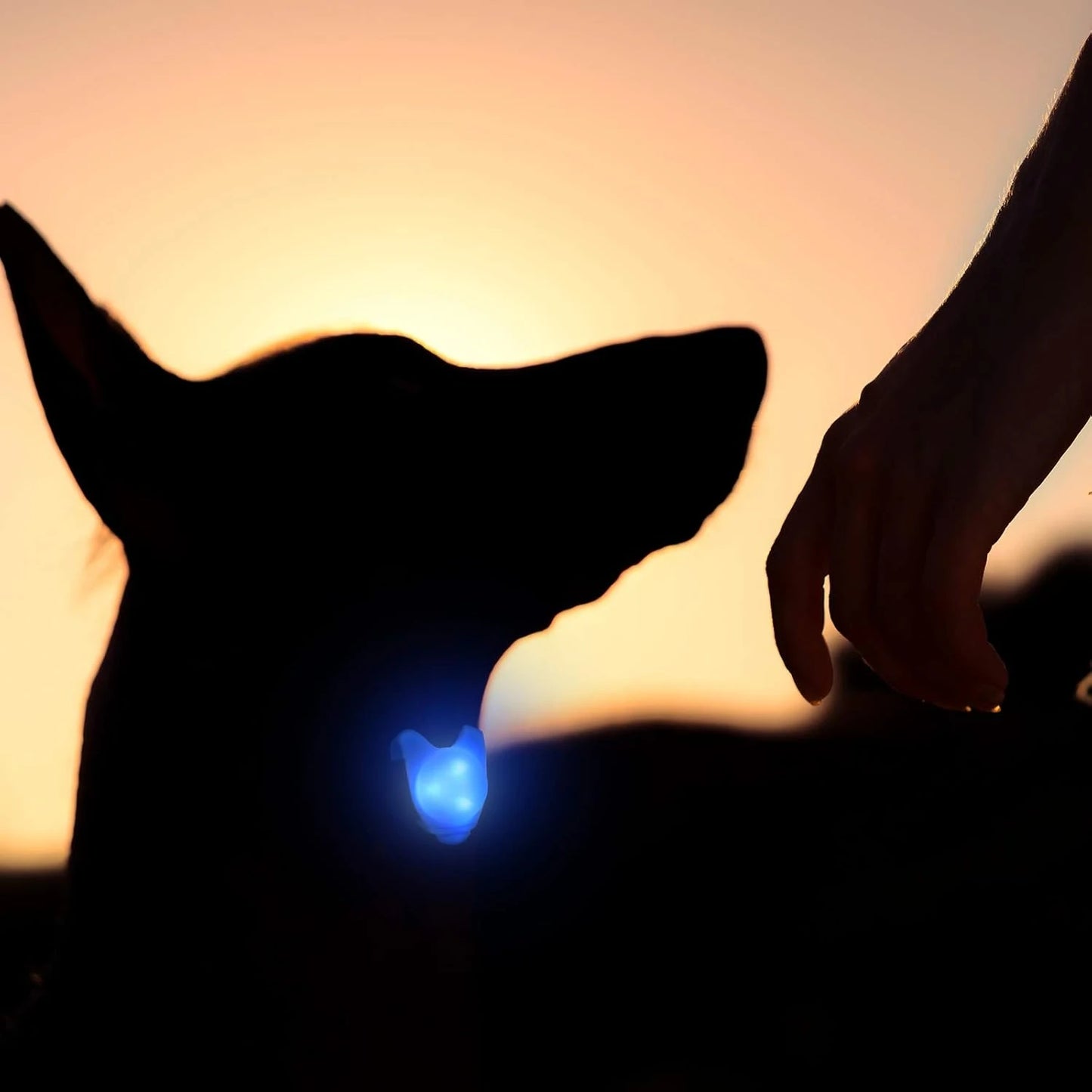 Set of 6 Glowing Lights, Pet Collar Accessories