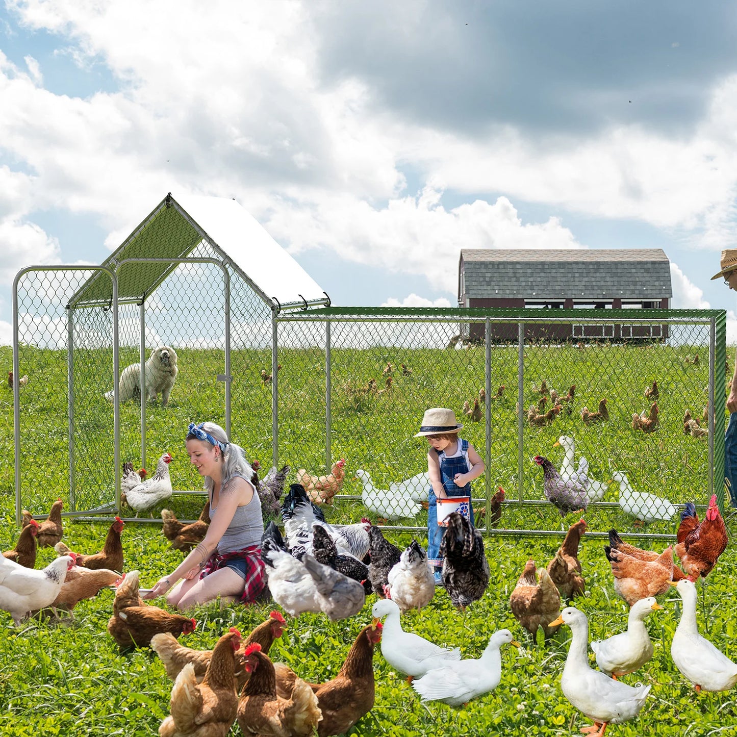Flat Style Outdoor Walk-In Poultry Cage w/Waterproof Cover