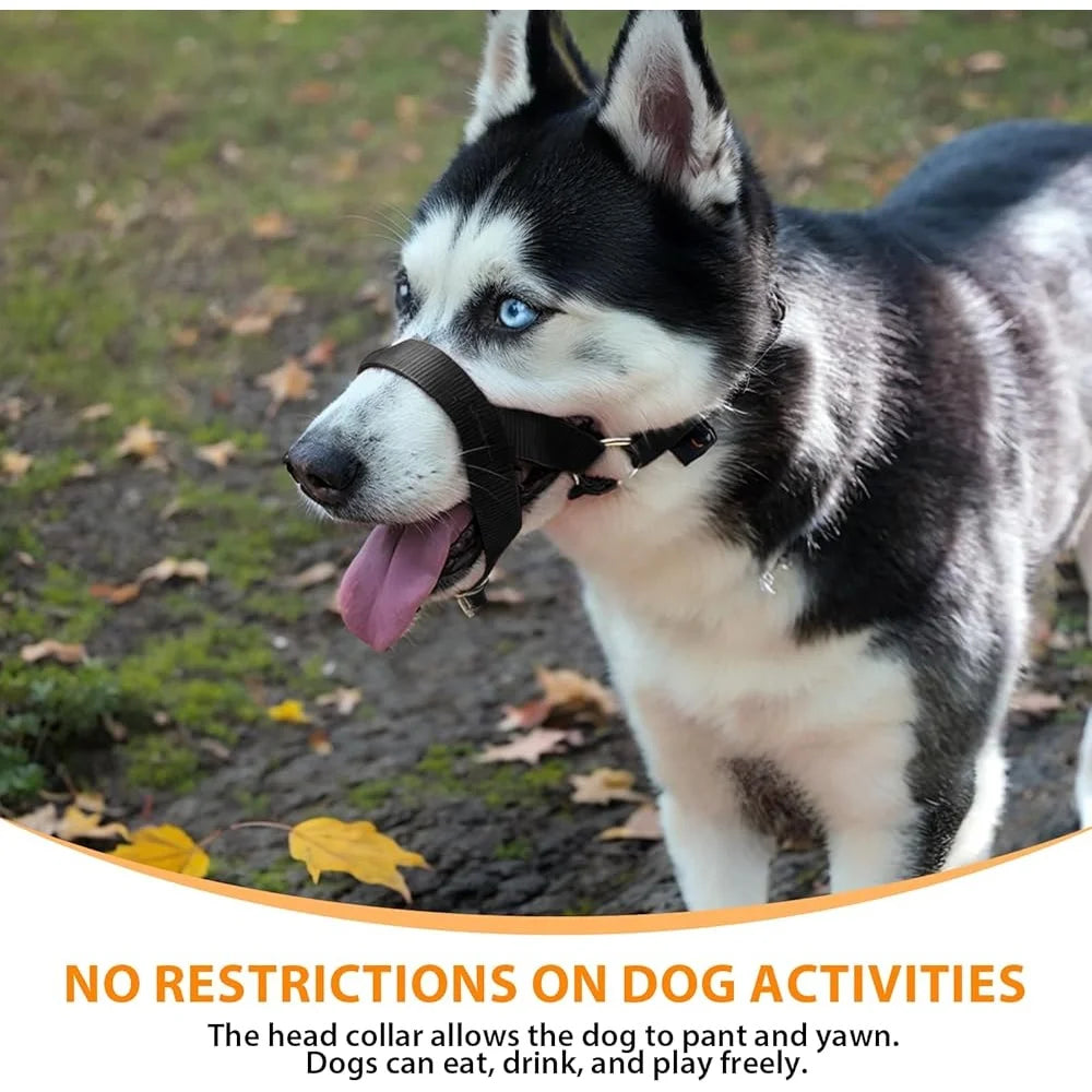 No Pull Head Collar Training Harness for Dogs