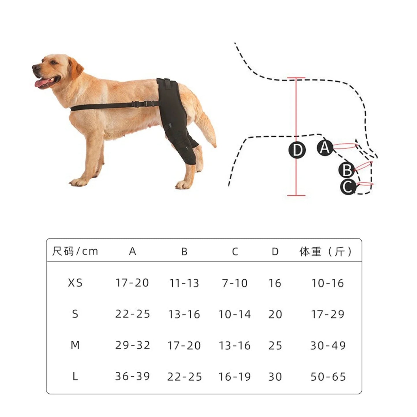 Canine Surgery Healing/Injury/Arthritis Leg Braces