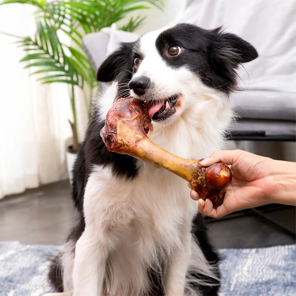 Large Cow Bone, Natural Easily Digestible Dog Treats