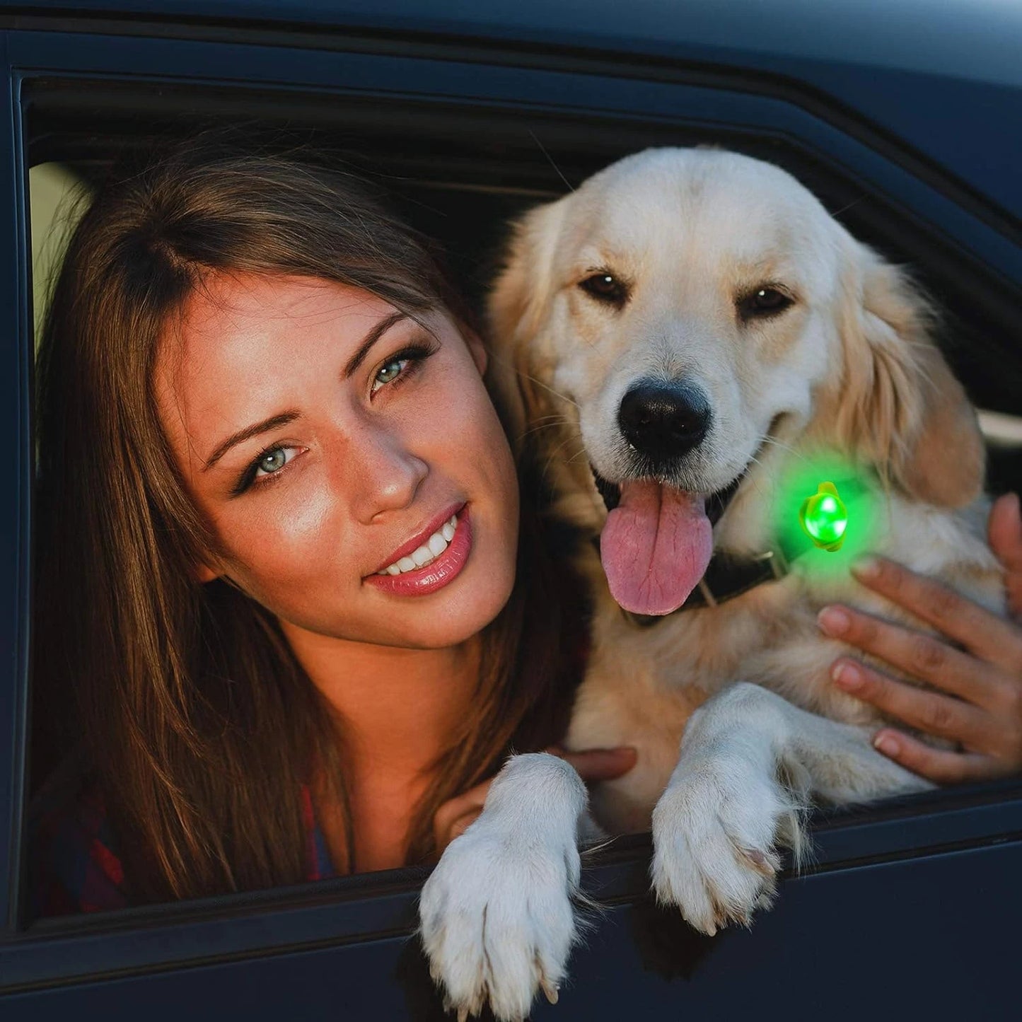 Set of 6 Glowing Lights, Pet Collar Accessories