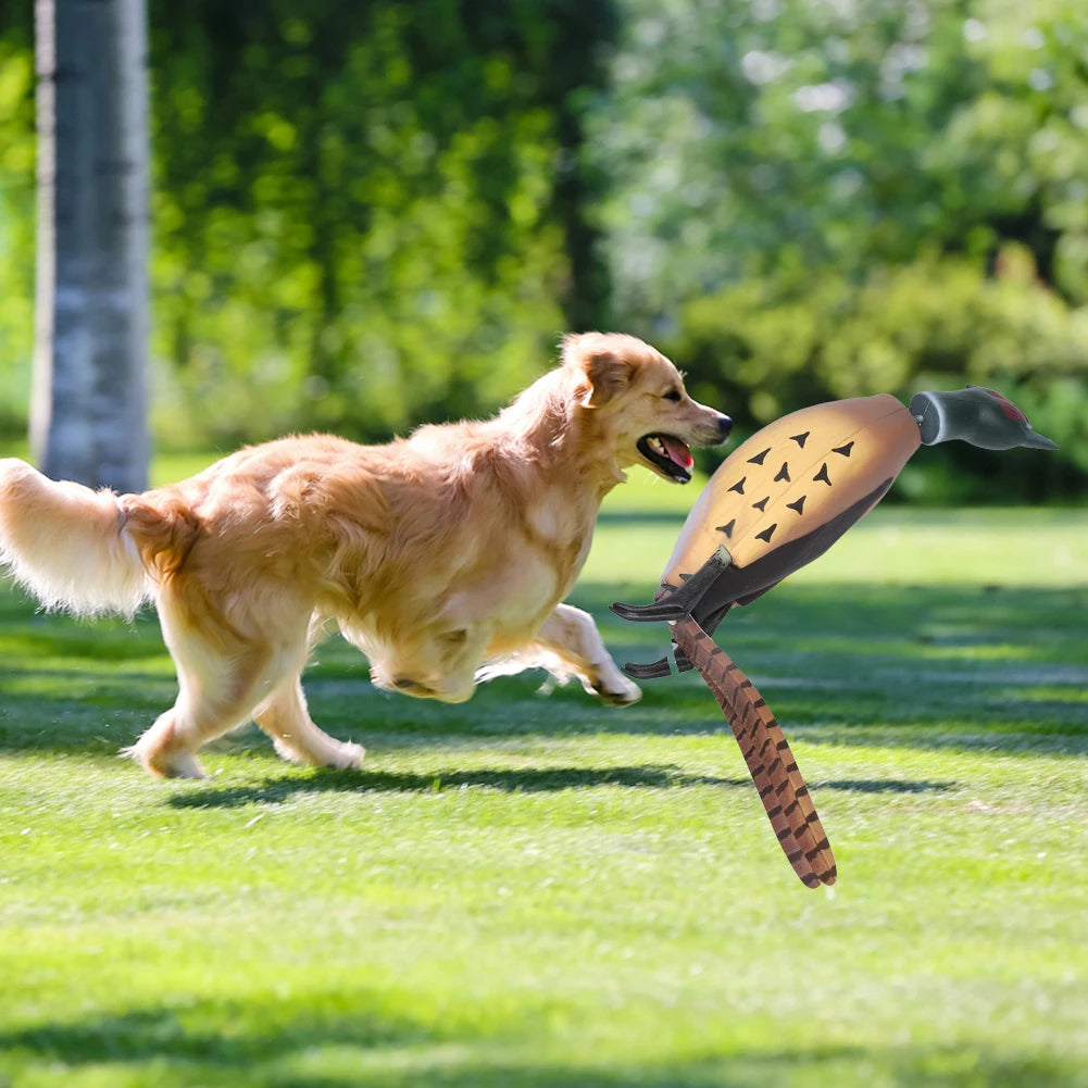 Pheasant Toy, Retrieval Training for Bird Dogs