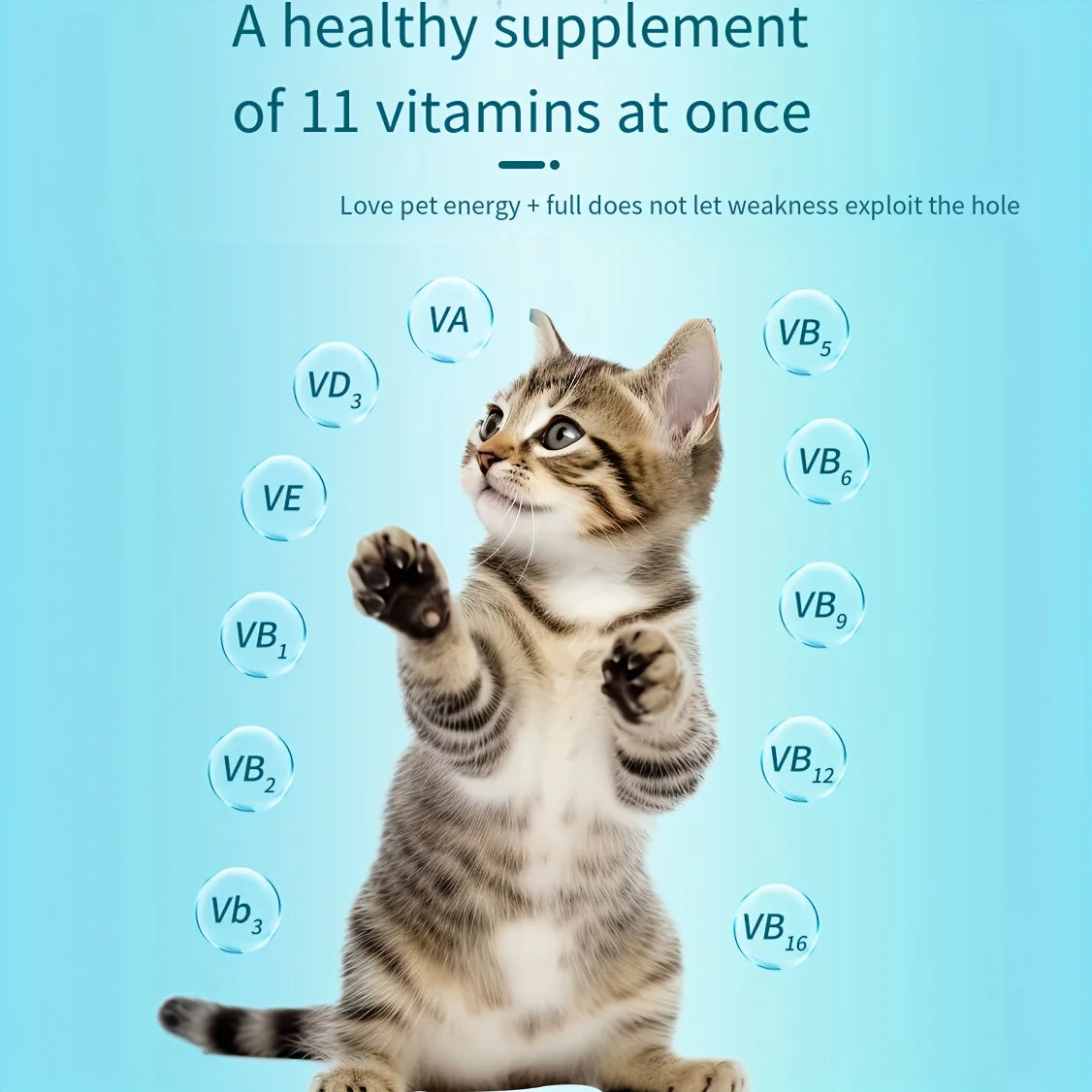 Multivitamin Supplements for Cats and Dogs (200 Tablets)