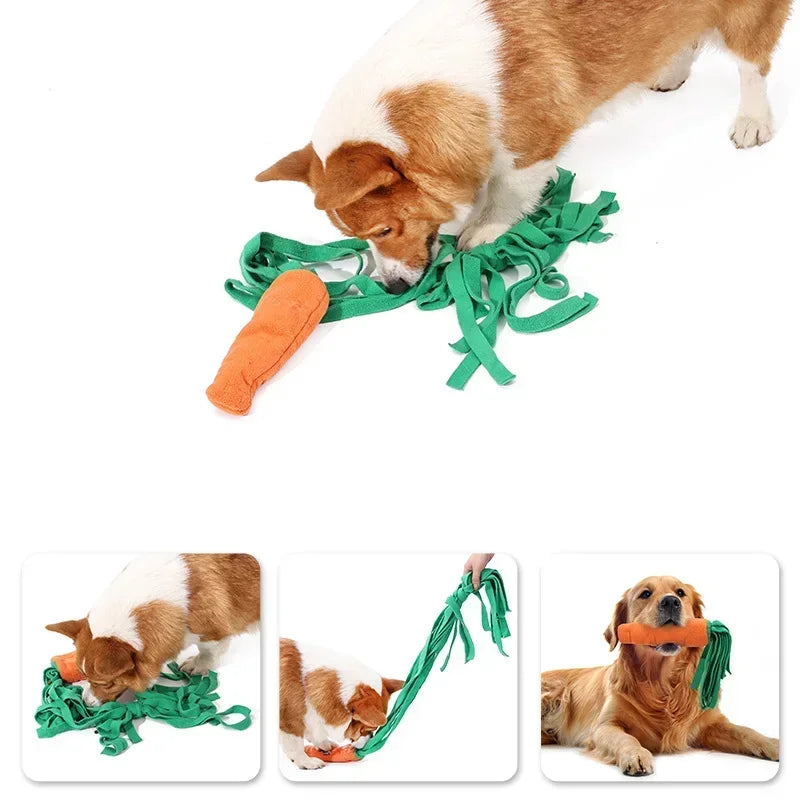 Carrot Shaped Snuffle Training Toy