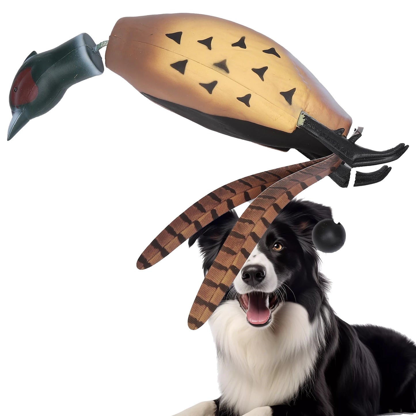 Pheasant Toy, Retrieval Training for Bird Dogs