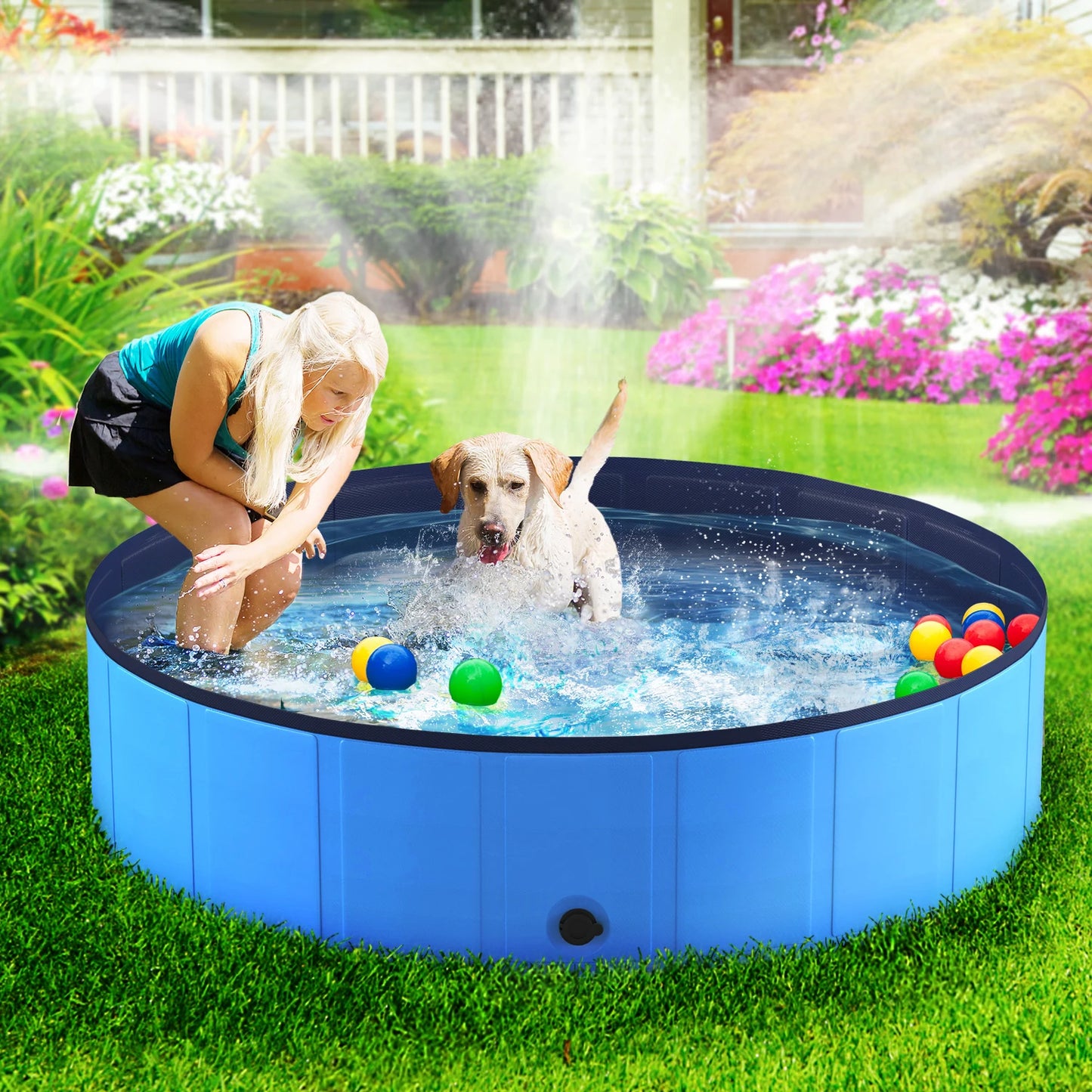 Portable, Collapsible Swimming Pool for Pets