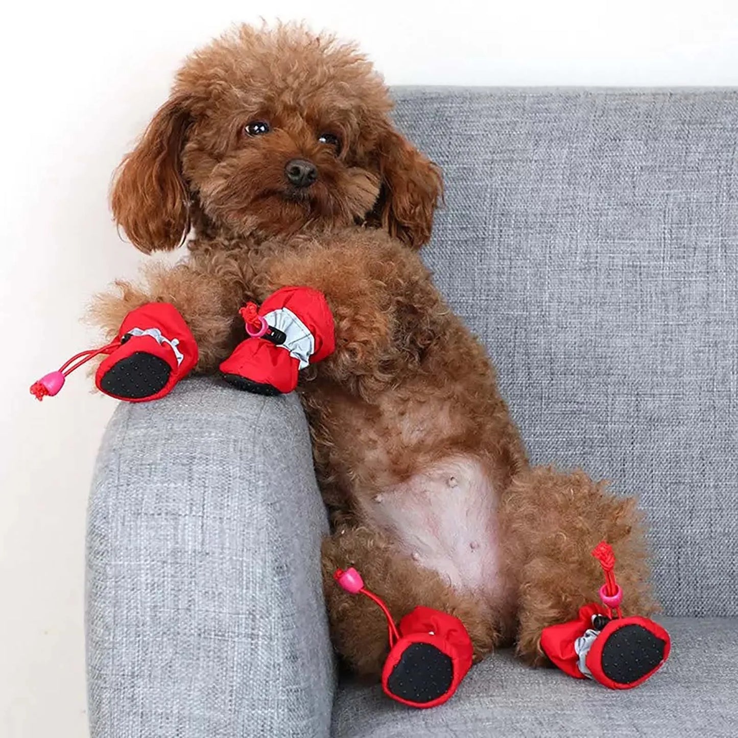 Adjustable Soft -Soled Breathable Shoes for Dogs