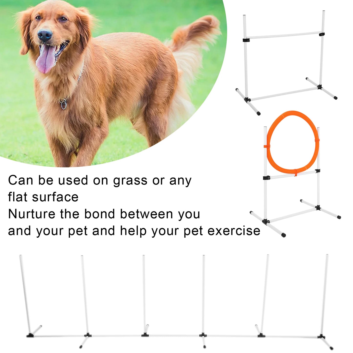 Adjustable Agility Dog Training Course Equipment