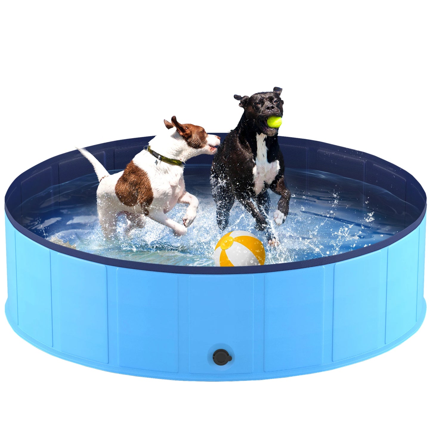 Portable, Collapsible Swimming Pool for Pets