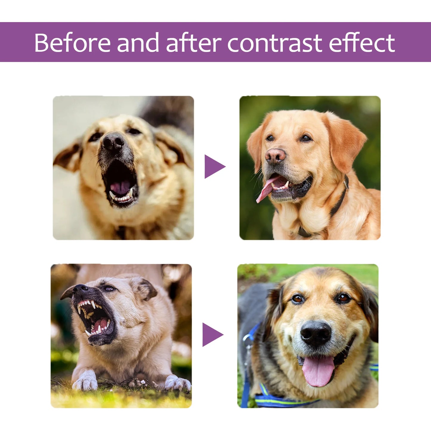 Nervous Relief Mood Sedation Spray for Dogs