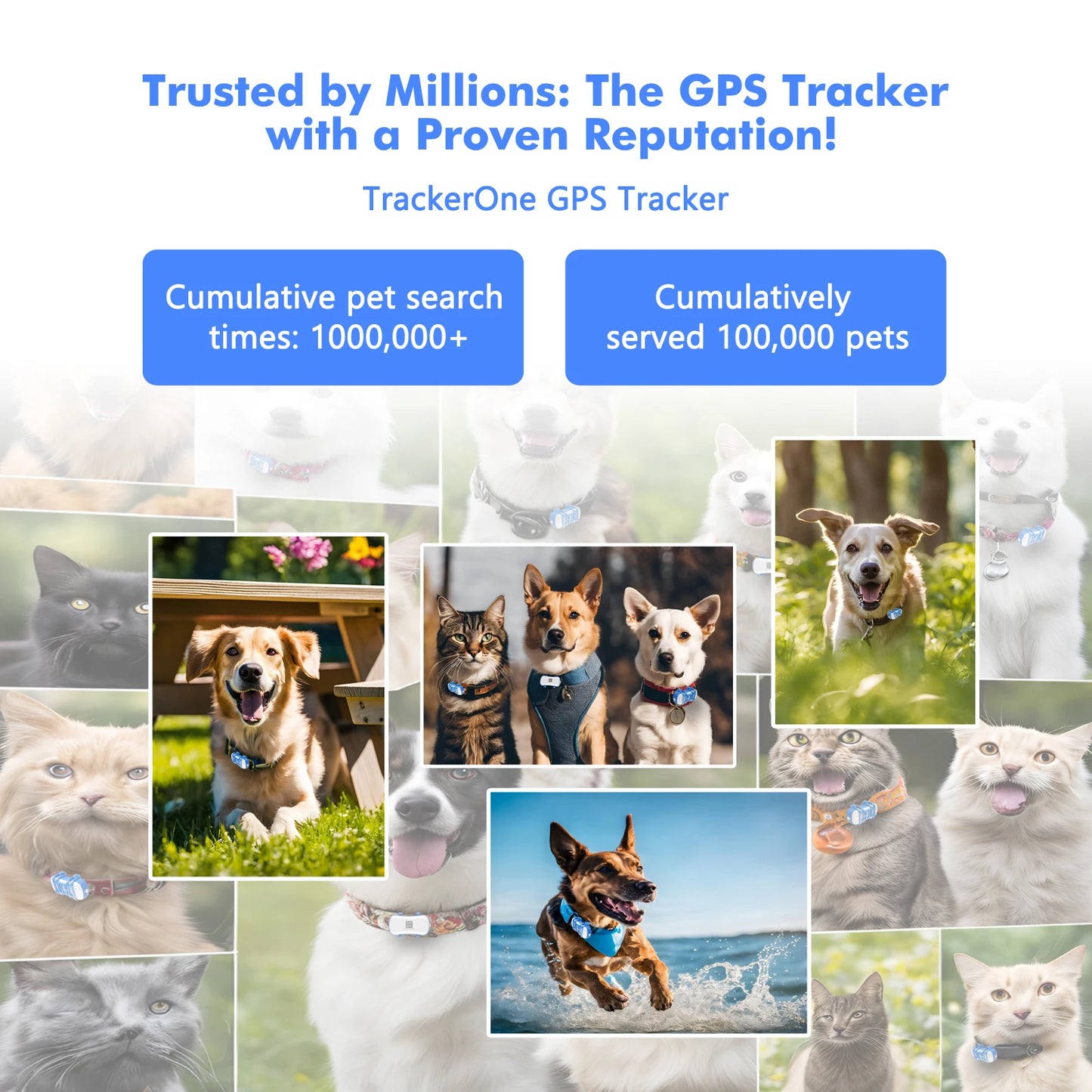 4G Waterproof GPS Pet Locator, Live Tracking with App Subscription