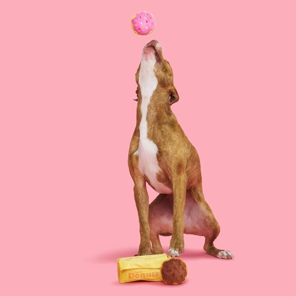 Plush Squeaky Donut Toy for Dogs