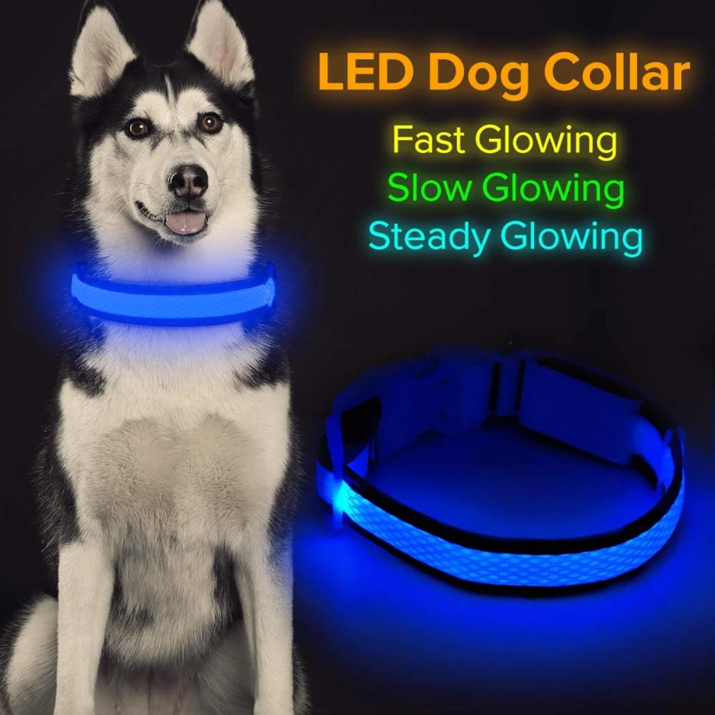 USB Rechargeable Light Up Dog Collar