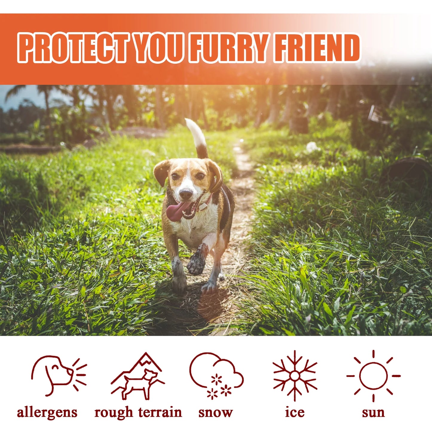 Moisturizing Natural Ingredient Chapped Paw Cream