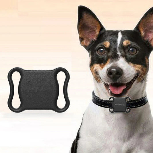 Top 8 Must Have Pet Security Products