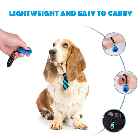 Pet Training Made Easy with these Tips