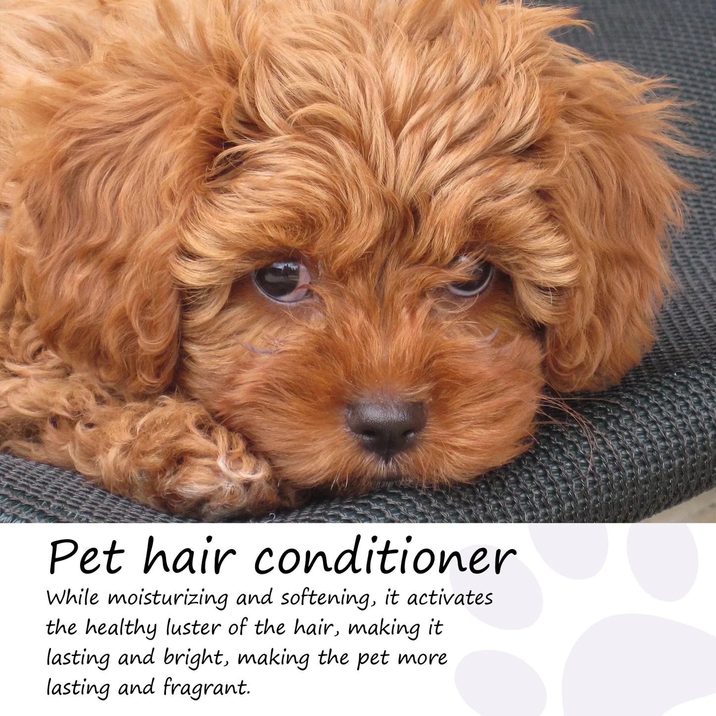 Pet Hair Care, Dry Skin Conditioner