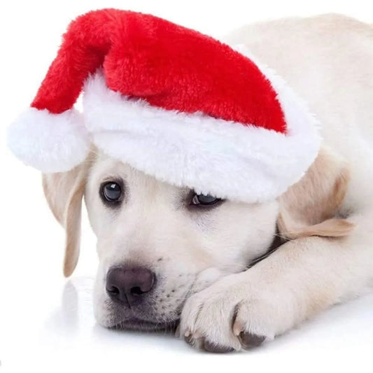 Charming Festive Christmas Hat for Pets