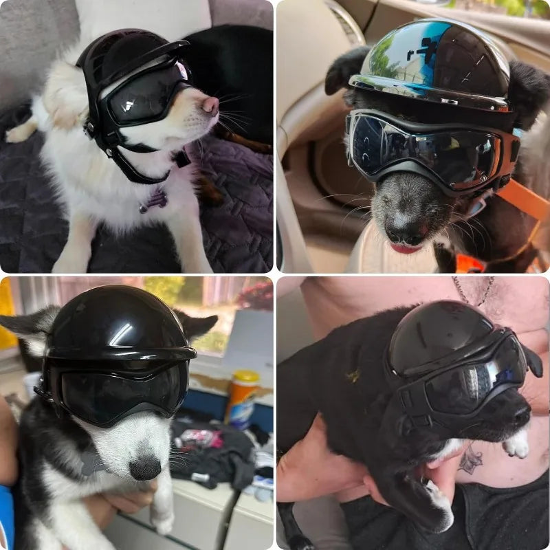 Helmet and Goggles 2pc Set for Small Dogs and Cats