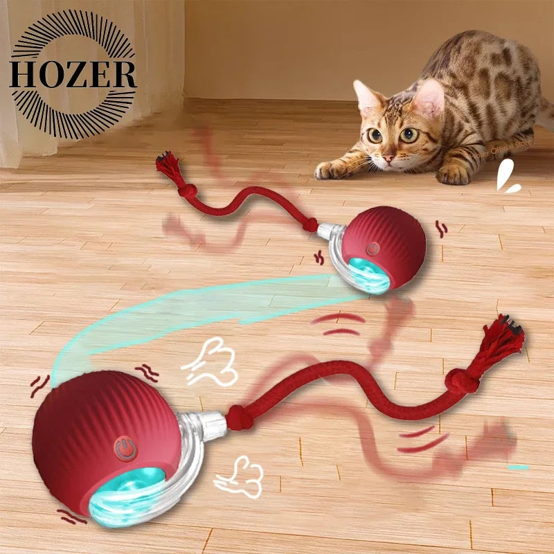Rechargeable, Interactive Rolling Cat Ball (2pc)