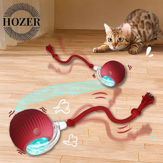 Rechargeable, Interactive Rolling Cat Ball (2pc)