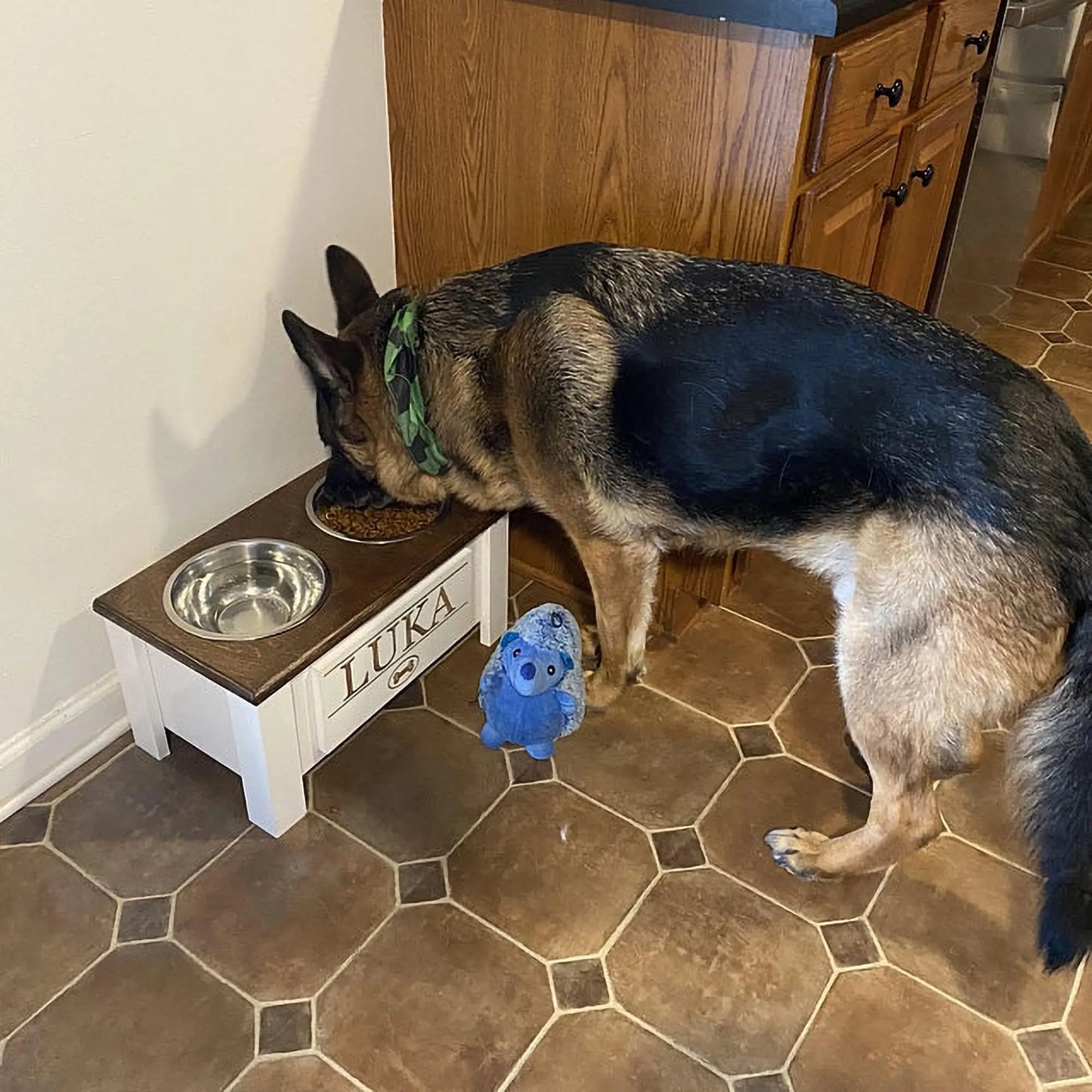 Elevated Dog Feeder w/Double Stainless Steel Bowls
