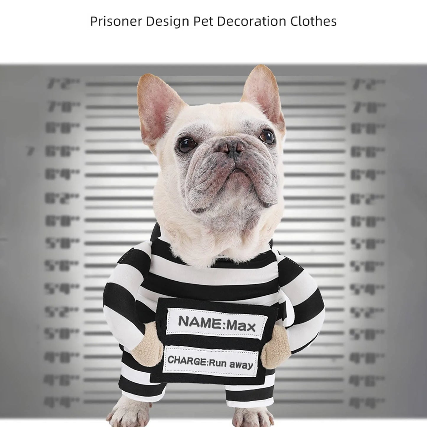 Prisoner Design Pet Costume for Halloween