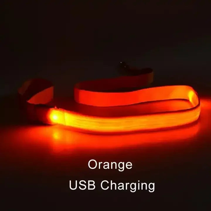LED Rechargeable Luminous Lead Rope for Dogs