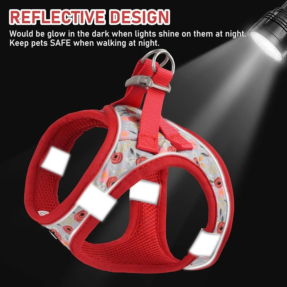 Adjustable Harness, Collar, Leash Set for Pets