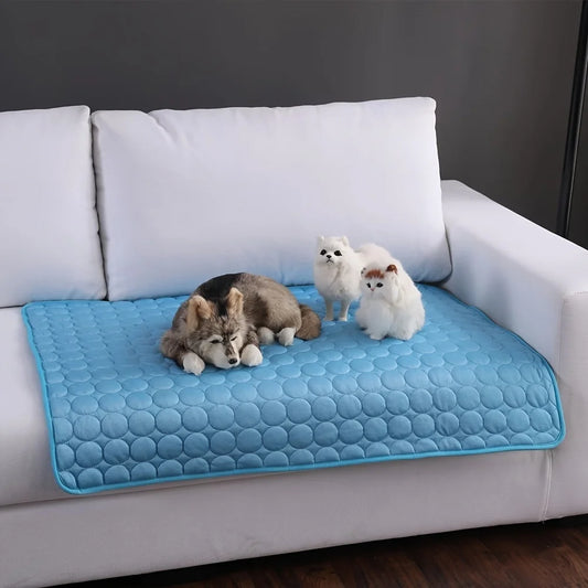 Summertime Cooling Mat for Pets