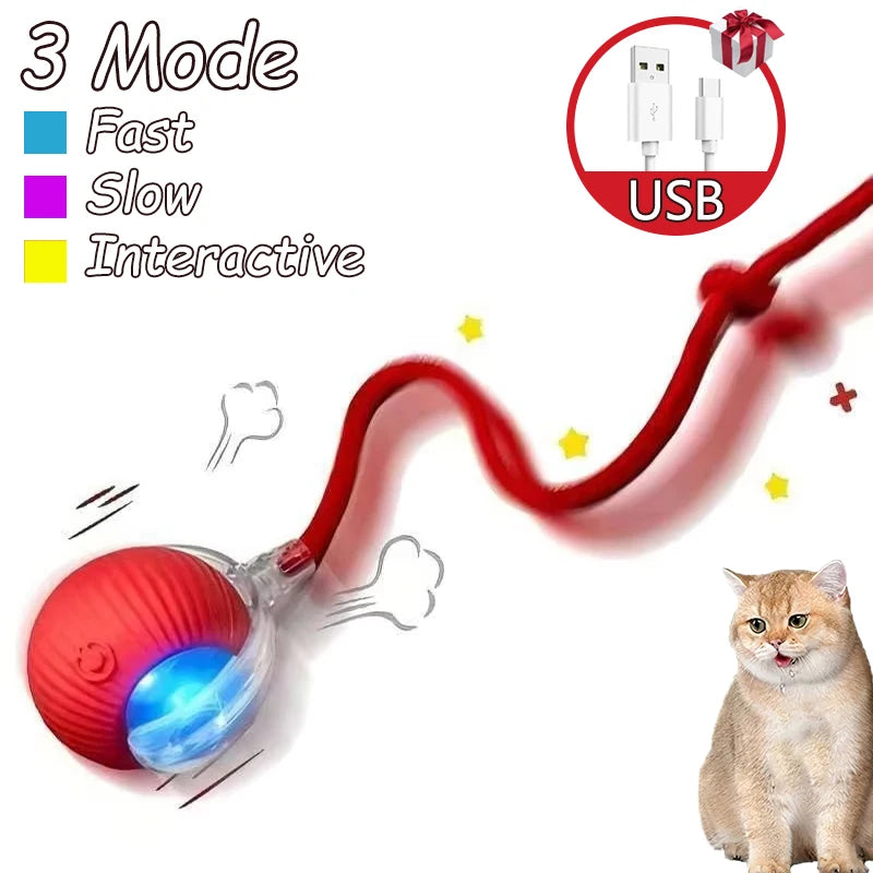 Rechargeable, Interactive Rolling Cat Ball (2pc)