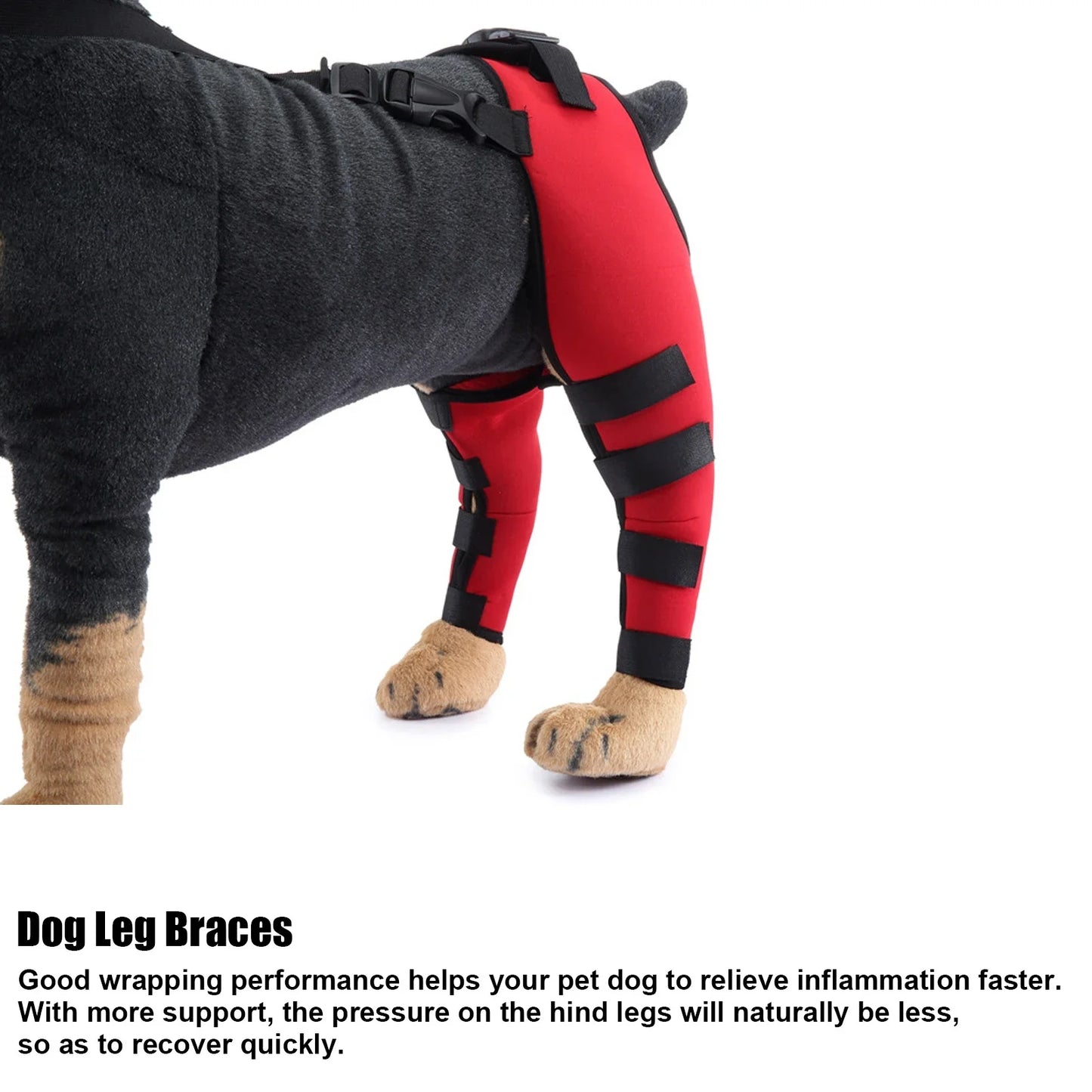 Canine Surgery Healing/Injury/Arthritis Leg Braces