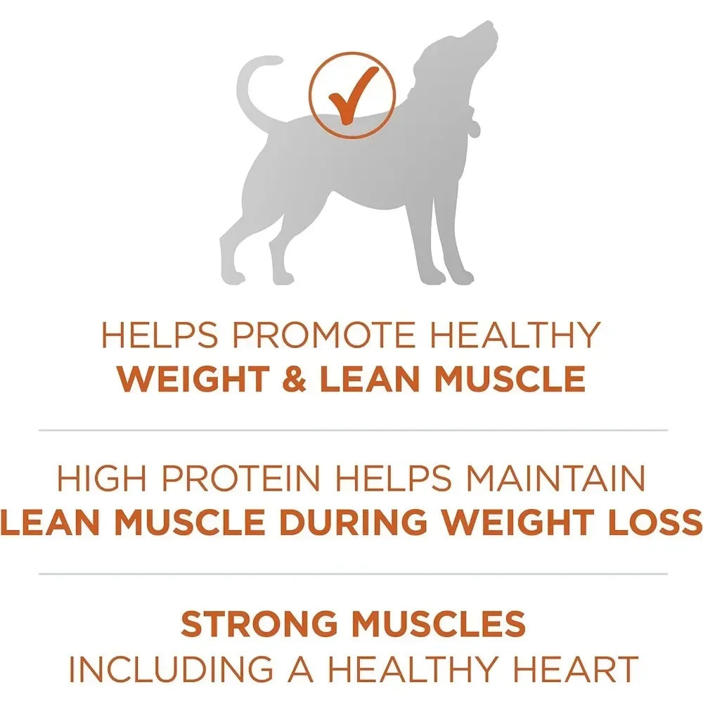 Healthy High-Protein Dog Food Dry Formula - 40 lb. Bag