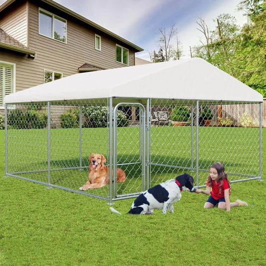 Outdoor Heavy Duty Dog Enclosure, 10ftx10ftx6ft