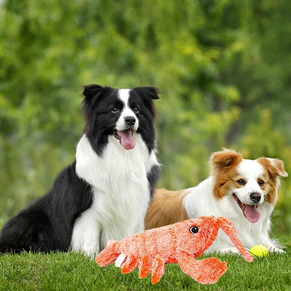Floppy Lobster Squeaky Toy for Pets