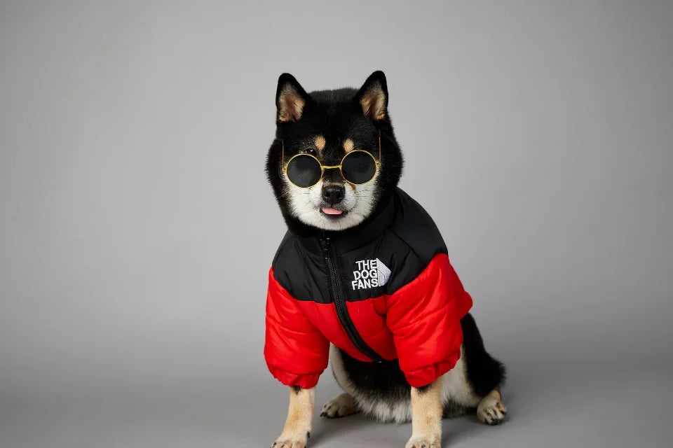 Autumn/Winter Thick Dog Jacket