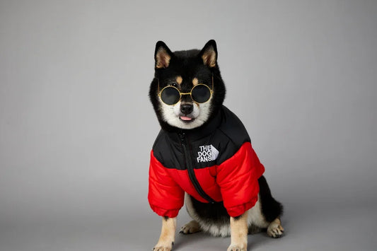 Autumn/Winter Thick Dog Jacket