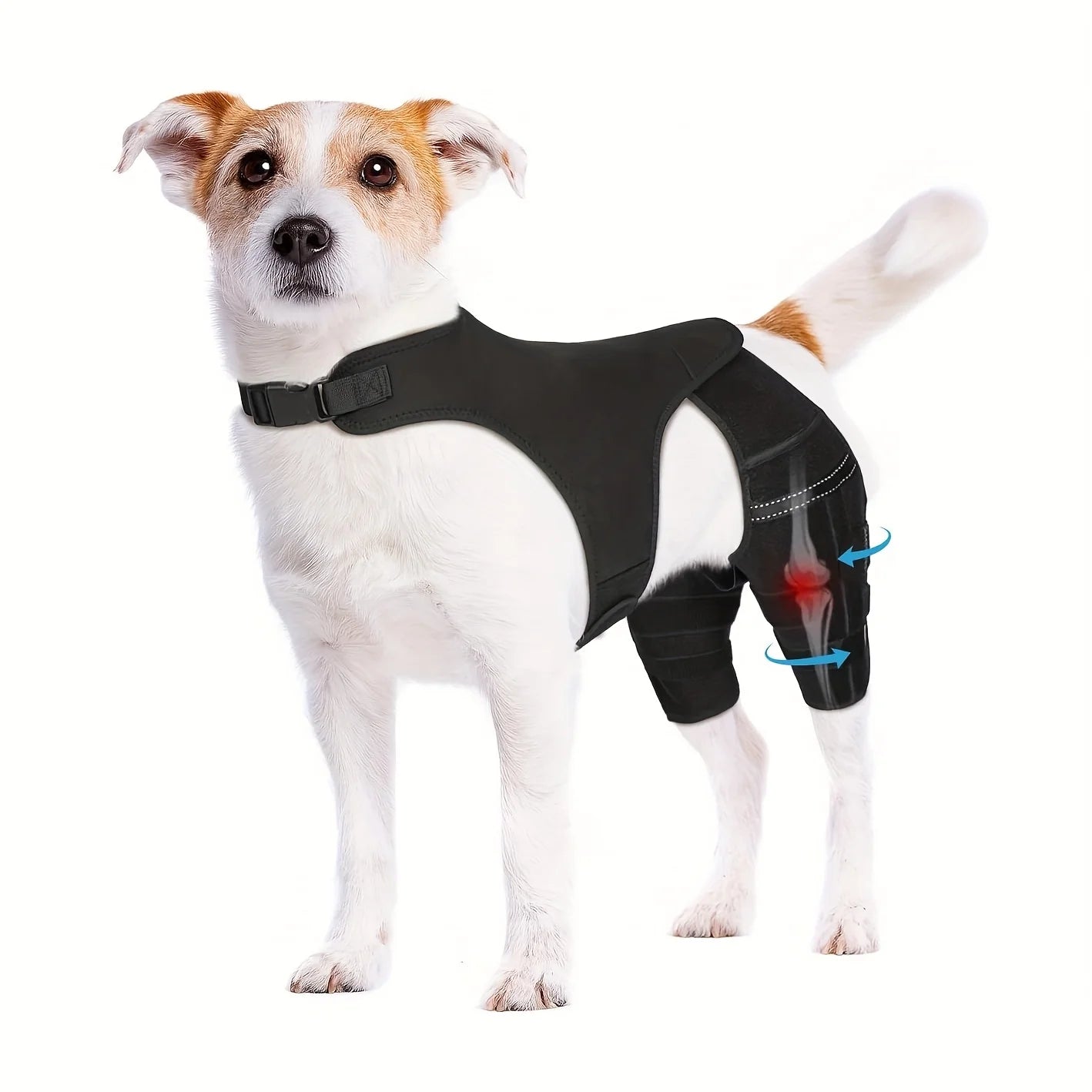 Adjustable Leg Brace Support Harness for Dogs