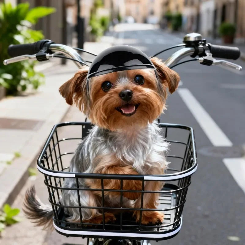 Helmet and Goggles 2pc Set for Small Dogs and Cats