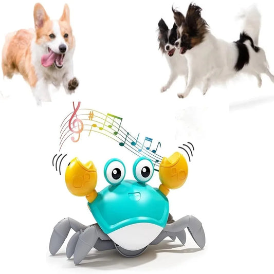 Dancing Musical Crab, Toy for Pets