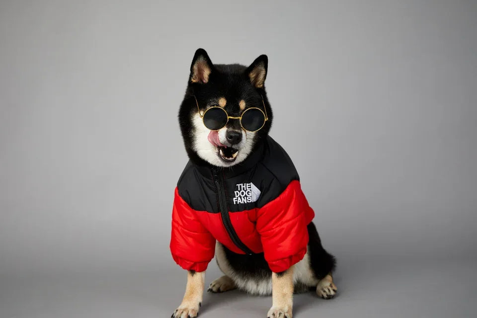 Autumn/Winter Thick Dog Jacket