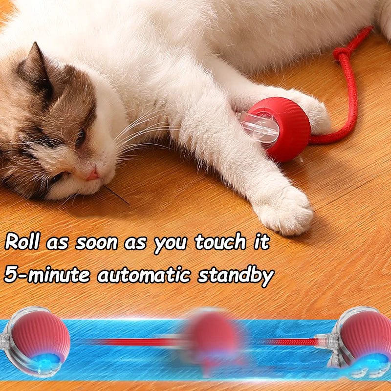 Rechargeable, Interactive Rolling Cat Ball (2pc)