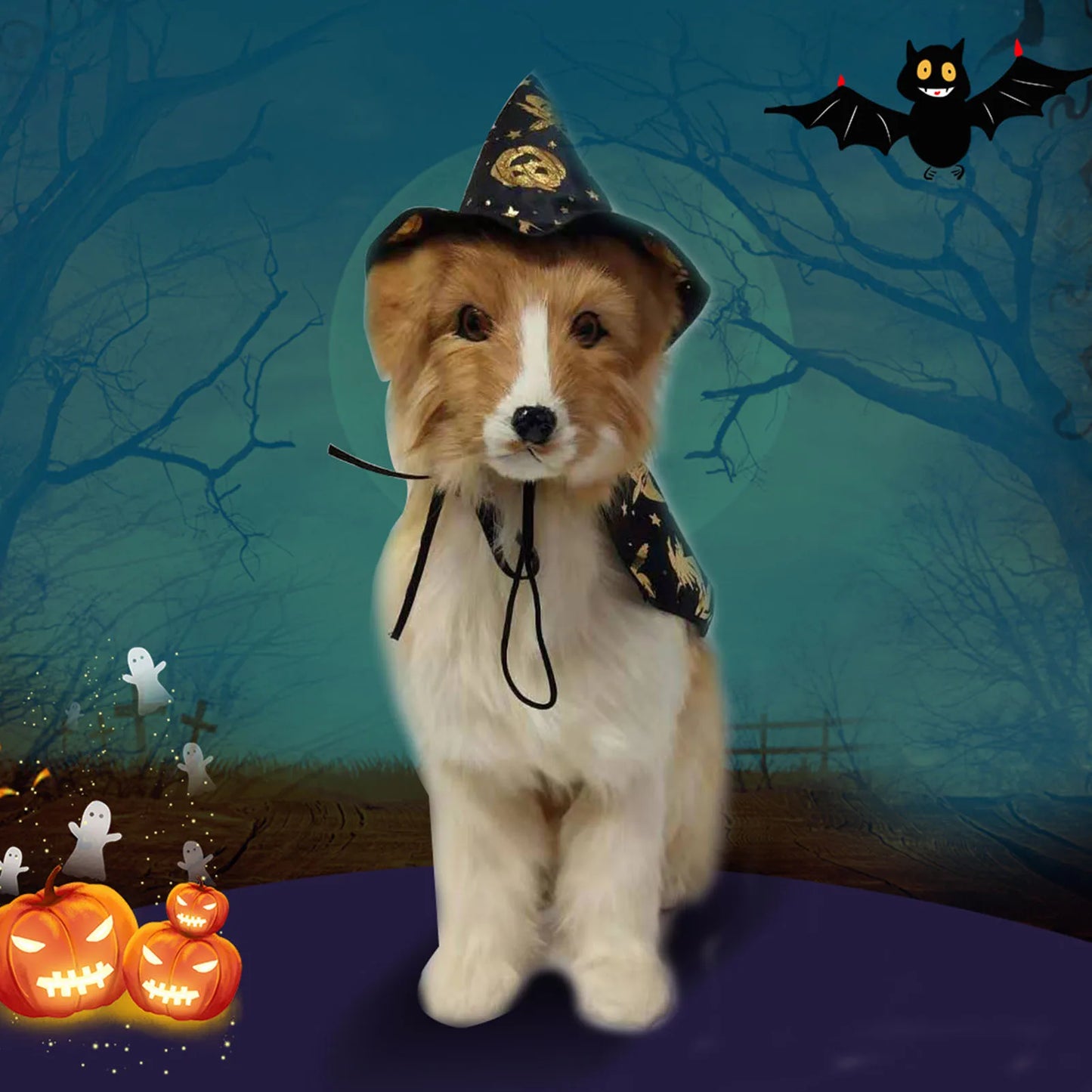 Halloween Pet Costume, Cloak and Hat Set
