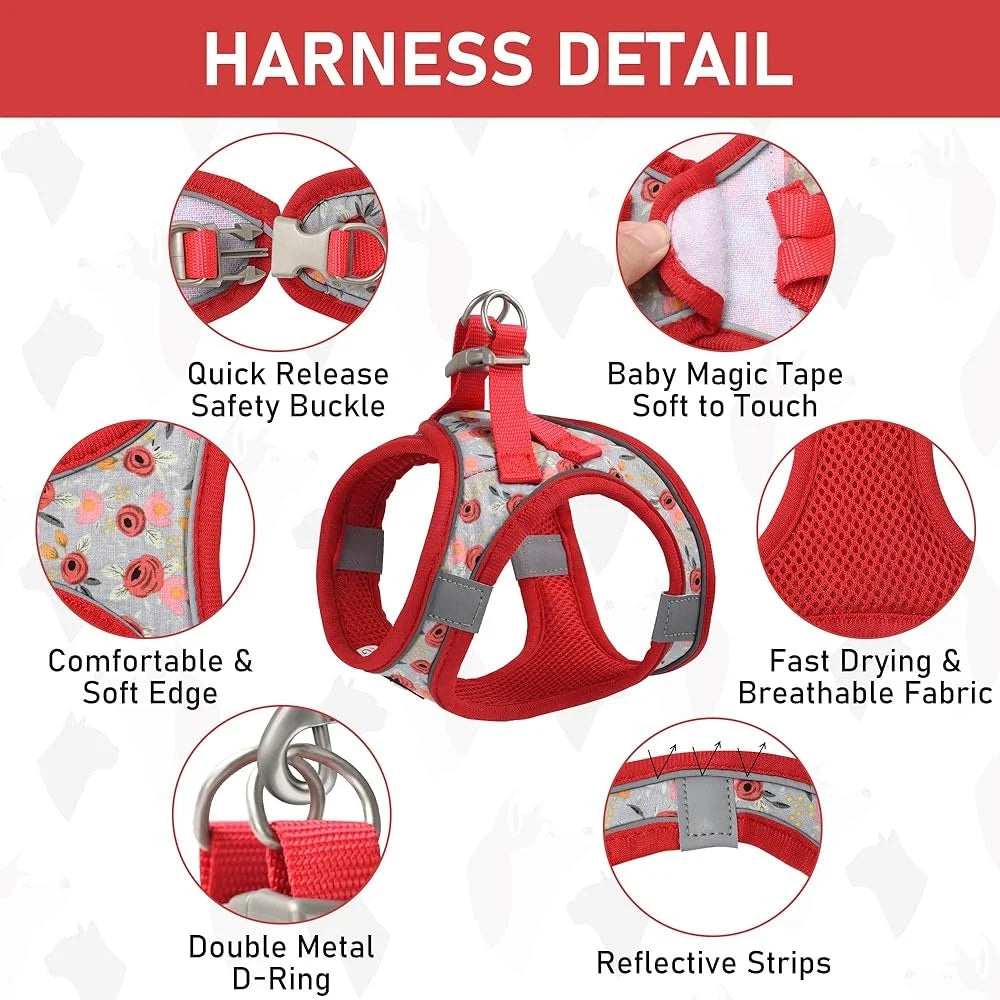 Adjustable Harness, Collar, Leash Set for Pets