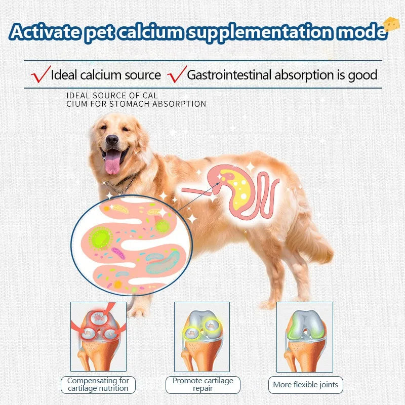 Freeze-Dried High Calcium Digestion Supplement Cheese Snacks for Cats and Dogs