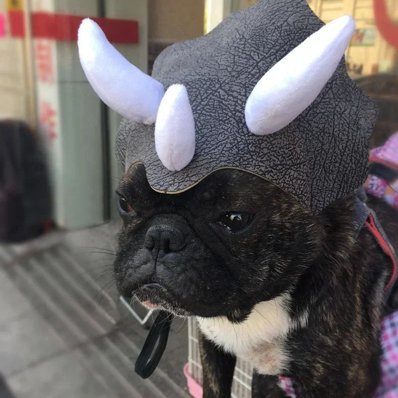 Triceratops Dinosaur Headgear Costume for Pets