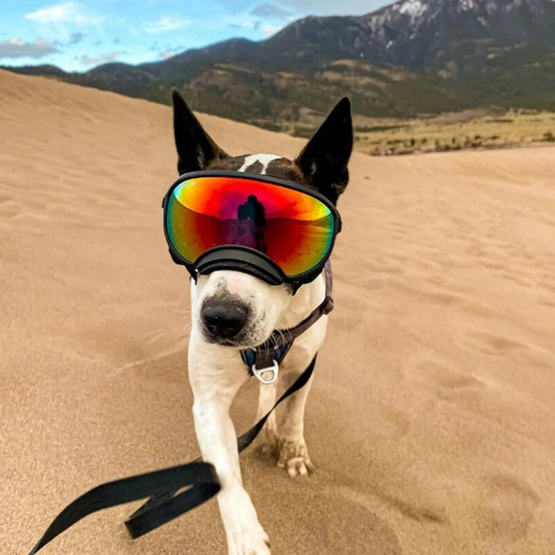 Anti-UV Goggle Sunglasses Eyewear Protection for Dogs
