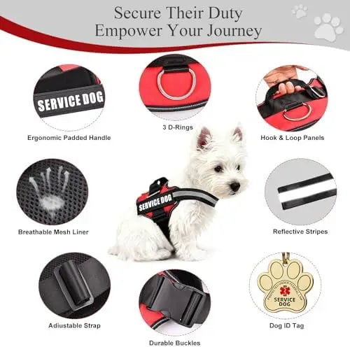 ADA Compliance Service Dog Harness, ID Cards and Metal Tag